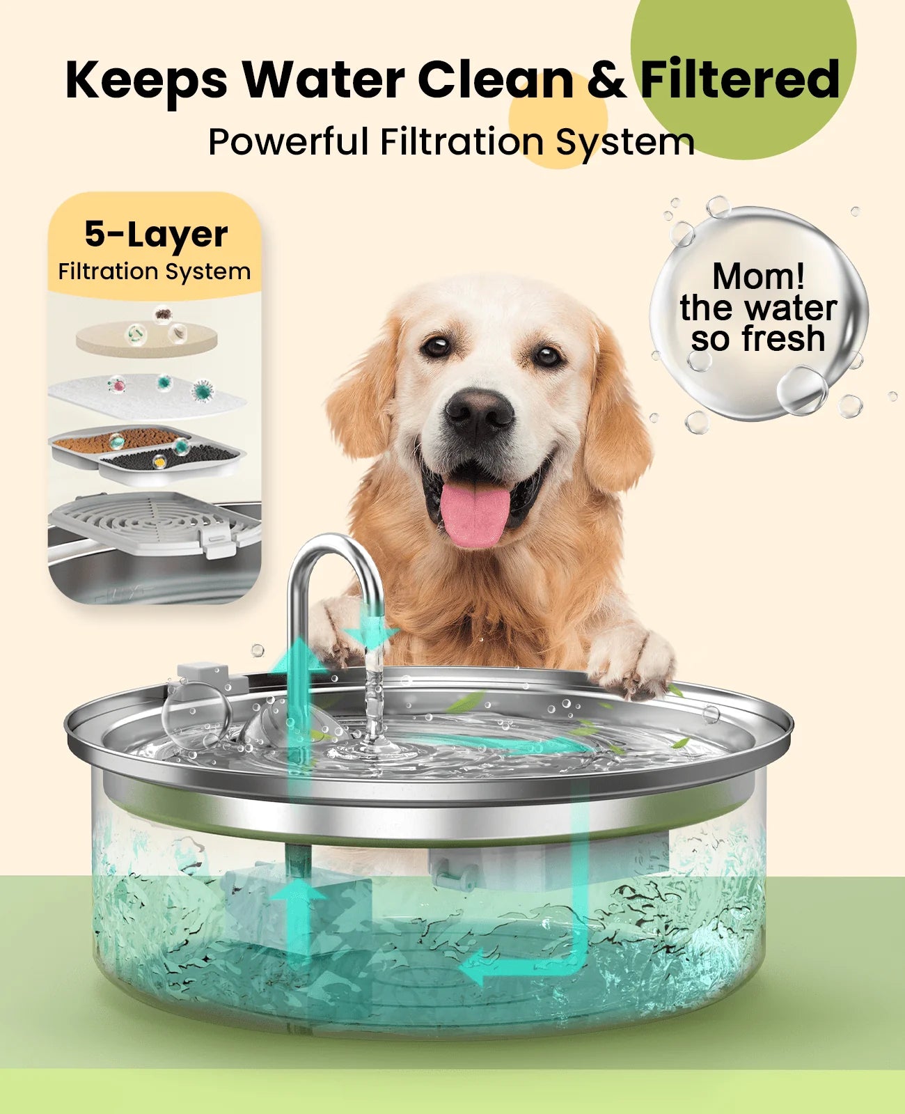 Add Years to Your Pet's Life with Purrify's Triple-Filtration System