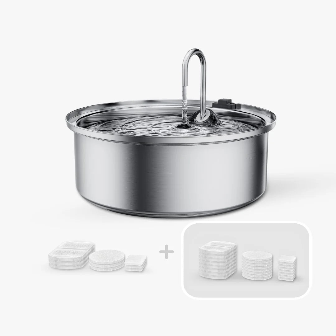 Add Years to Your Pet's Life with Purrify's Triple-Filtration System