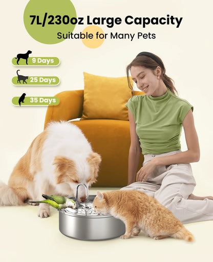 Add Years to Your Pet's Life with Purrify's Triple-Filtration System