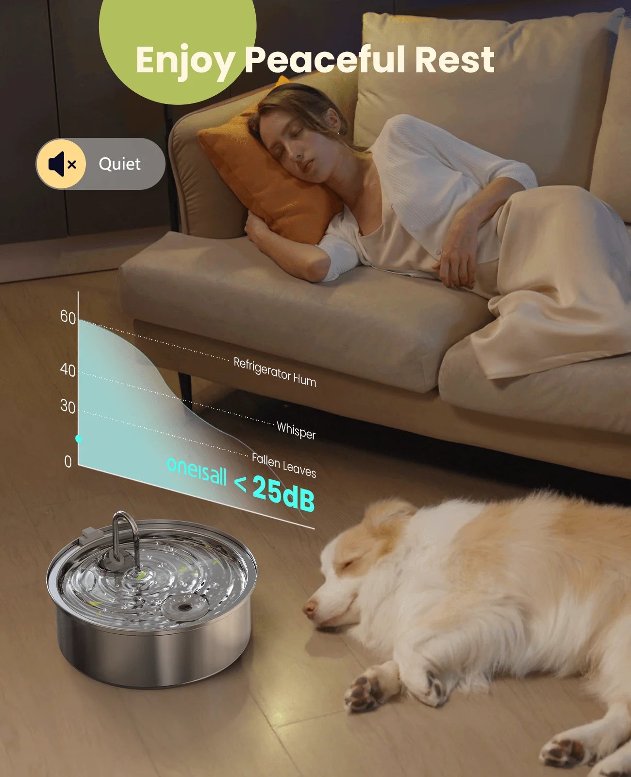 Add Years to Your Pet's Life with Purrify's Triple-Filtration System